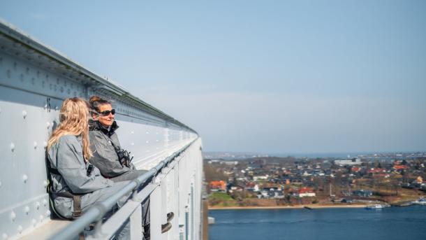 Brovandring på Lillebæltbroen i Danmark