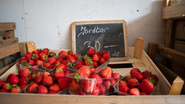 Local Danish produce Strawberries in farm shop in North Zealand, Denmark