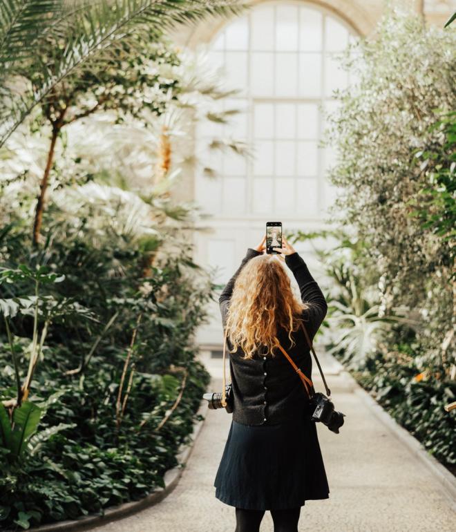 Woman taking a photo in the Winter Garden at Glyptoteket in Copenhagen