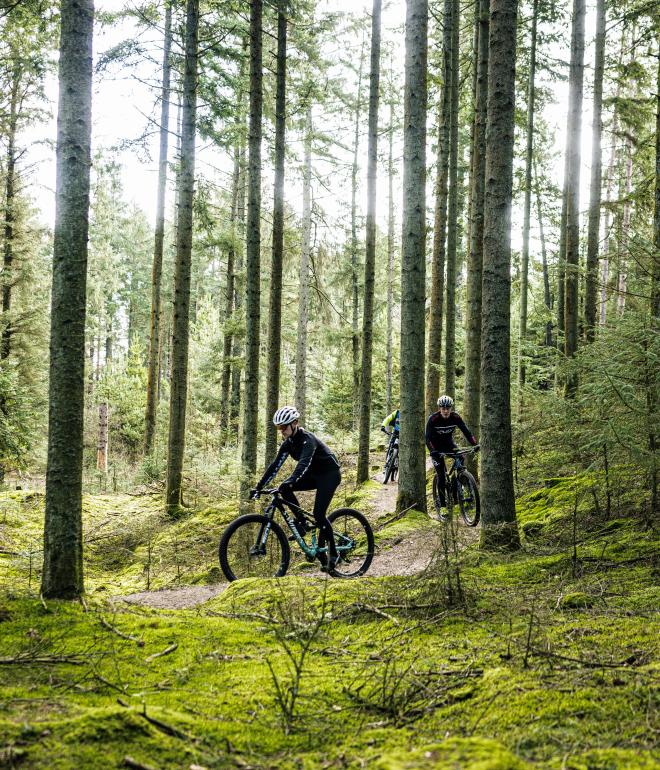 Bild von zwei Radfahrern in dem Wald Blåbjerg Plantage