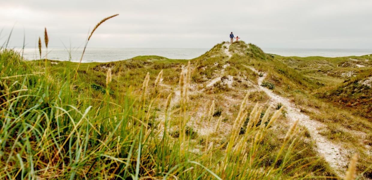 The Dunes at Henne Strand in West Jutland, Denmark