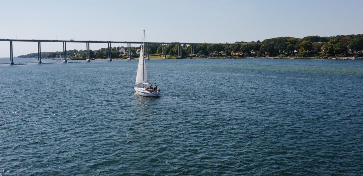 Sailing in Svendborg, Fyn