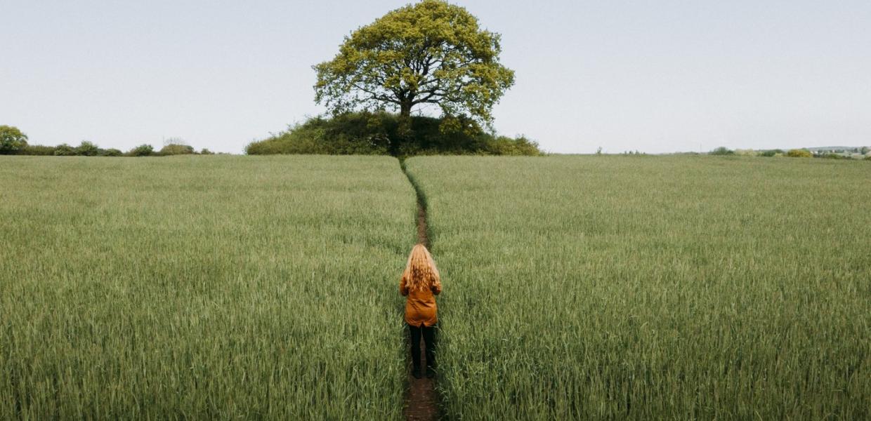 man looking at a tree, Fjordland