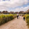 Camping huts in Hvidbjerg Strand Feriepark, Denmark