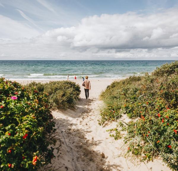 Ostseestrand von Tisvildeleje an der Dänischen Riviera in Nordseeland