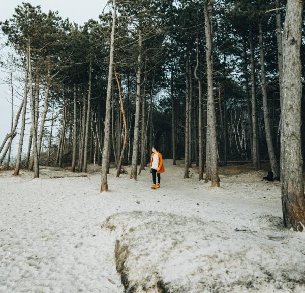 Spaziergang in der Hornbæk Plantage in Nordseeland an der Dänischen Ostsee