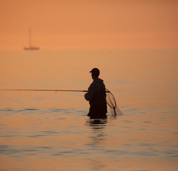Fisher in the water at Skagen