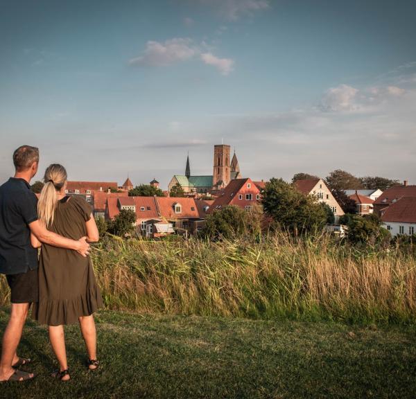 Couple enjoying the view over Ribe