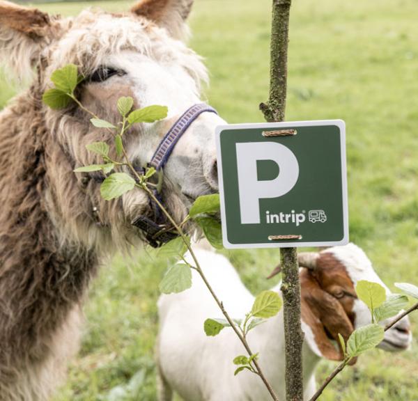 Ein Bild von einem Esel und einer Ziege, die hinter ein Pintrip-Schild stehen