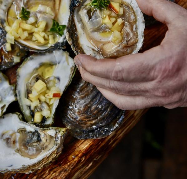 Oyster dish at Limfjorden in North Jutland, Denmark