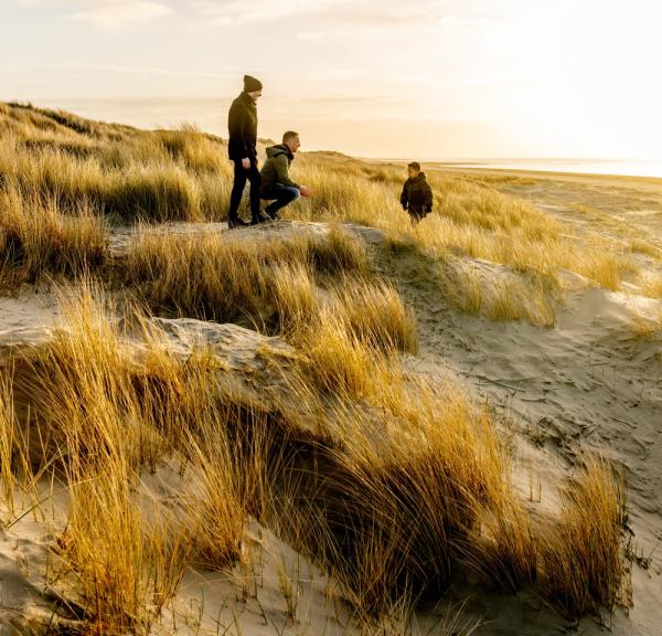 Family in dunes at Blåvand beach, West Jutland