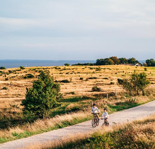 Zwei Kinder auf dem Fahrrad an der Küste bei Aarhus