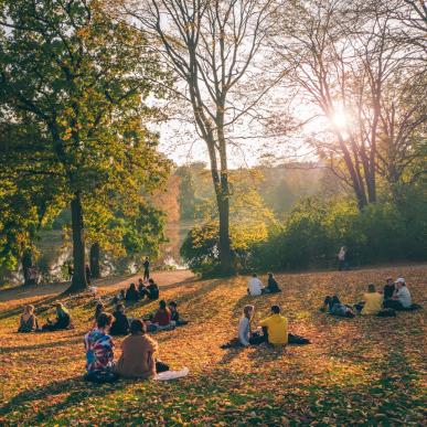 Kopenhagener Park "Ørstedparken" im Herbst