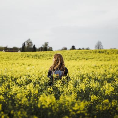 Woman walking in a field of bright yellow flowers