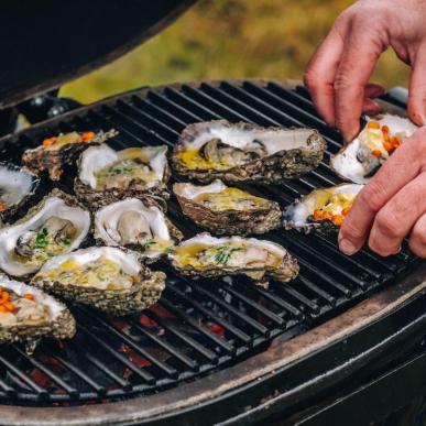 Oysters by the Wadden Sea