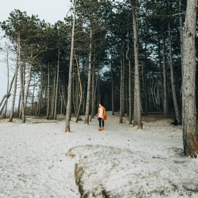 Spaziergang in der Hornbæk Plantage in Nordseeland an der Dänischen Ostsee