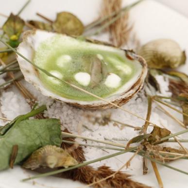 De beste oesters en mosselen? Je vindt ze op deze vakantiebestemming!! 