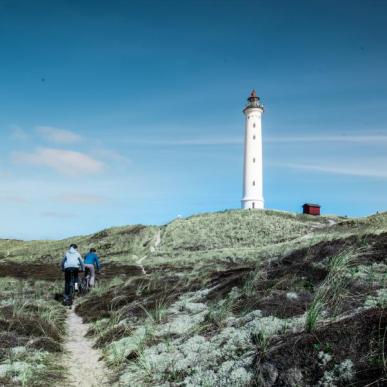 Radfahrende Personen in den Dünen vor dem Lyngvig Fyr an der dänischen Nordseeküste