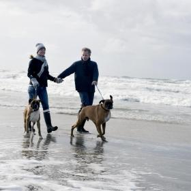 Paar mit Hund am Strand, SONNE UND STRAND