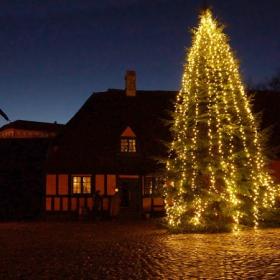 Christmastree in Aarhus