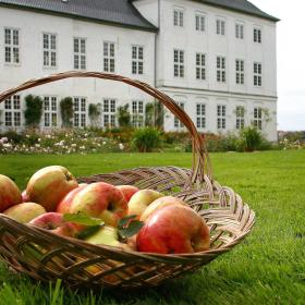 Korb mit Äpfeln vor einem Haus