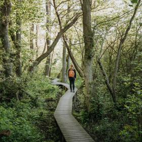 Wanderer im Wald im dänischen Fjordland