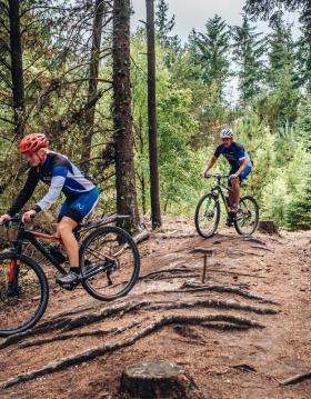 Mountainbiking in the forest at Blåberg Plantage in West Jutland