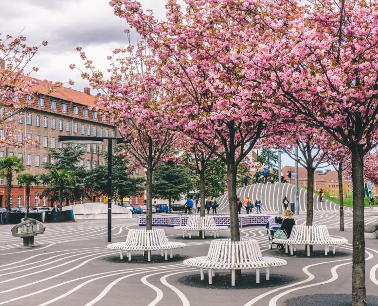 Superkilen Park Nørrebro Spring