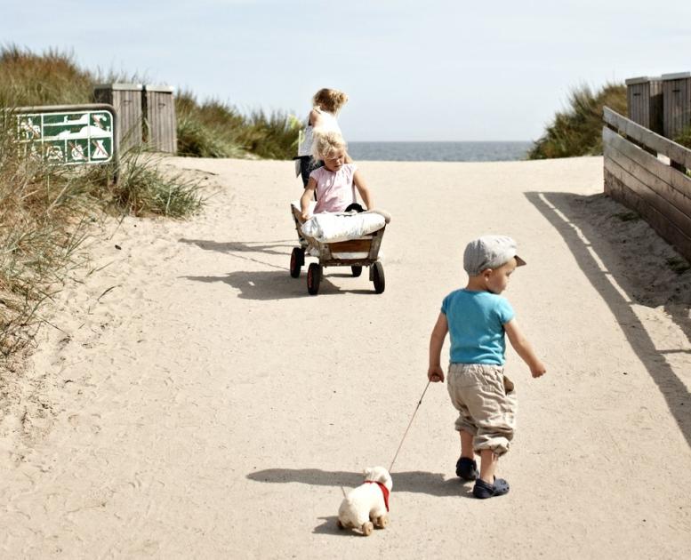 Kinder auf dem Weg zum Strand auf den Dänischen Ostseeinseln