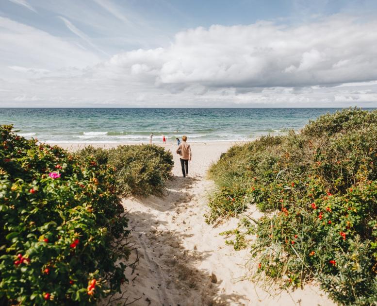 Ostseestrand von Tisvildeleje an der Dänischen Riviera in Nordseeland