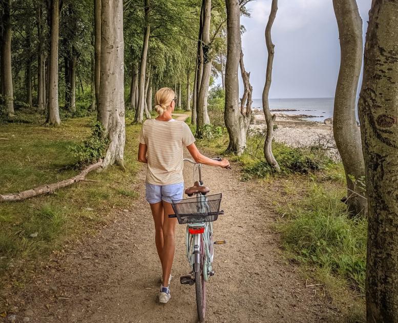 Utforska Hornbaek och den danska rivieran på Nordsjälland från cykelsadeln