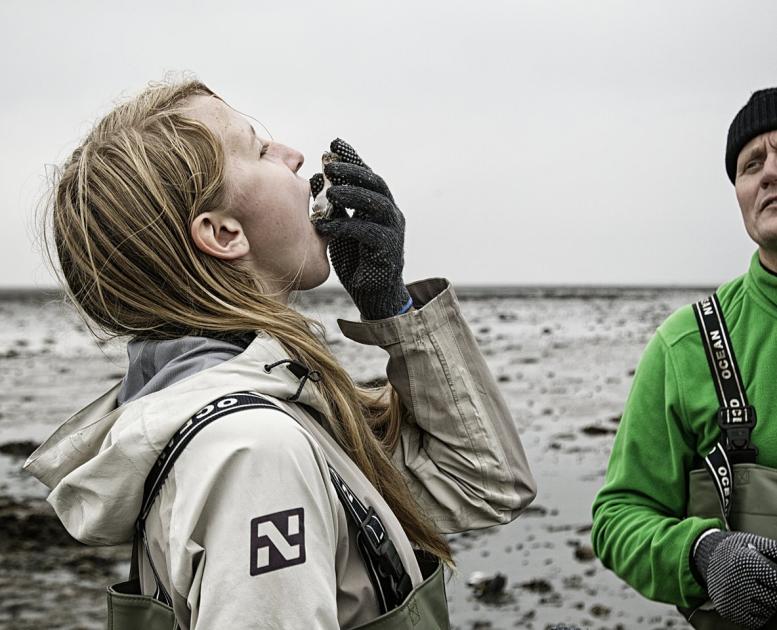 Personen auf einer Austernsafari im Nationalpark Wattenmeer an der Süddänischen Nordsee