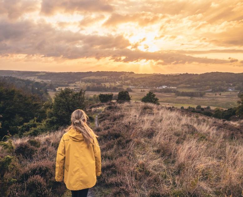 Mädchen in gelber Jacke läut im Sonnernuntergang durch Rebild Bakken, Dänemark