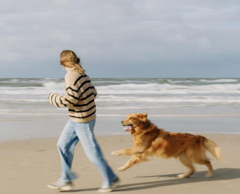 Kind läuft mit Hund am Strand der Dänischen Westküste