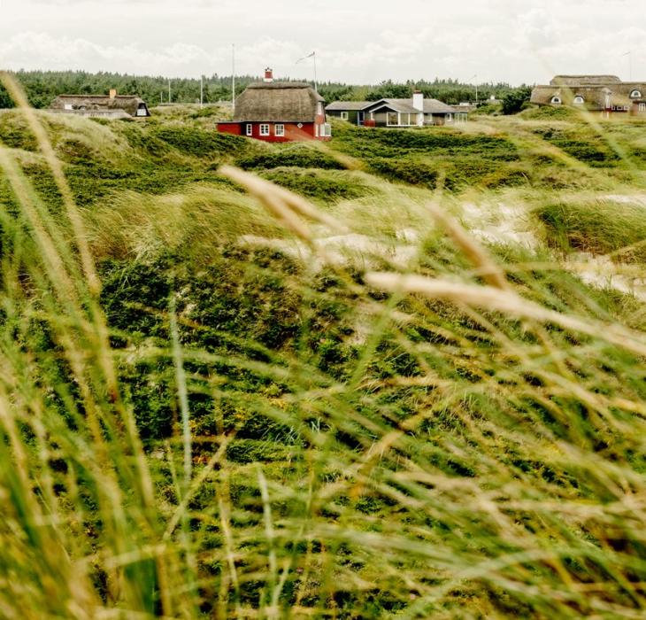 Ferienhäuser in Løkken