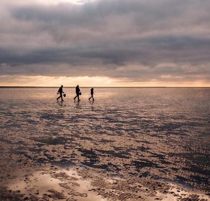 Das Weltnaturerbe Wattenmeer an der Süddänischen Nordsee