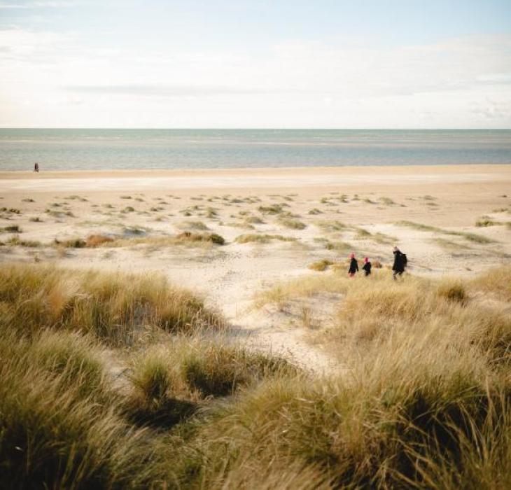 Herbstspaziergang am Strand von Blåvand an der Dänischen Nordsee