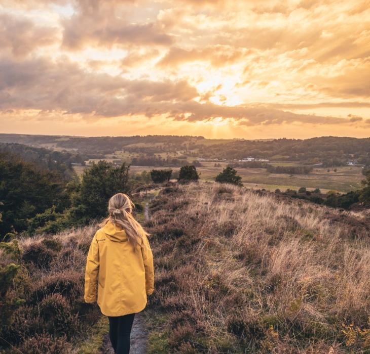 Mädchen in gelber Jacke läut im Sonnernuntergang durch Rebild Bakken, Dänemark