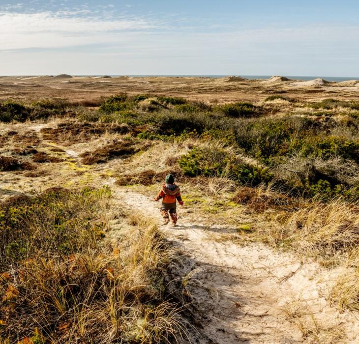 Child in the dunes at Klitmøller, North Jutland