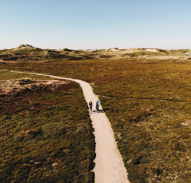 Radfahren an der dänischen Nordseeküste