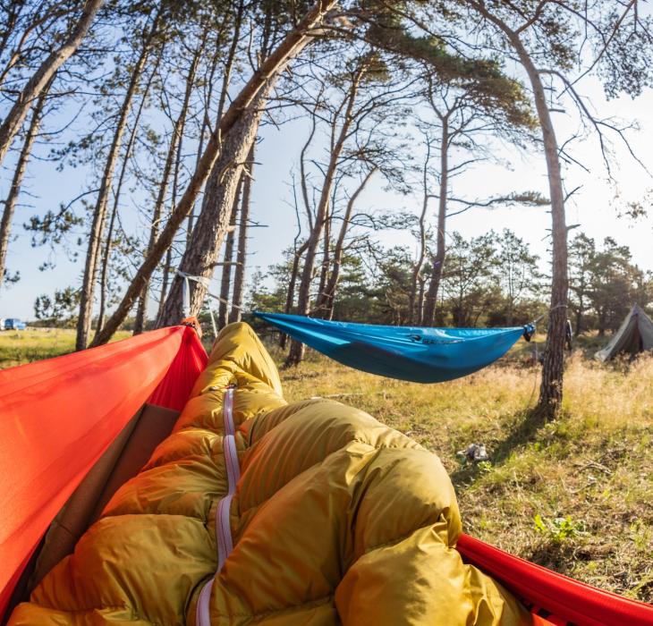 People laying in a hammock near Tisvildeleje 