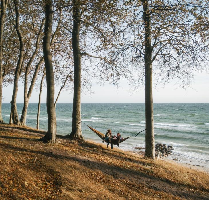 Familie in der Hängematte im Wald auf Fyn