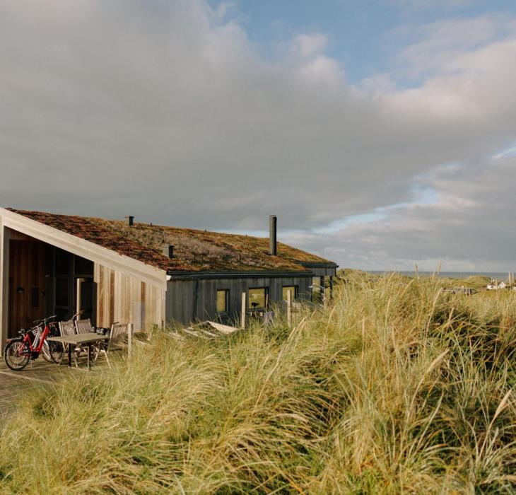 Ferienhaus in der Düne an der dänischen Westküste